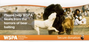 blogBEAR_BAITING_BAIGNET_header-APbrand